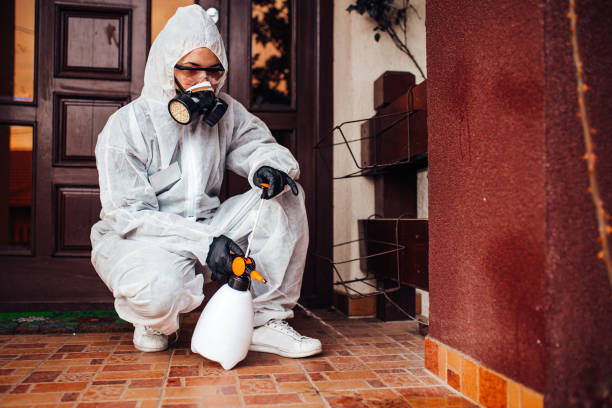 Attic and Crawl Space Rodent Treatment in Keystone