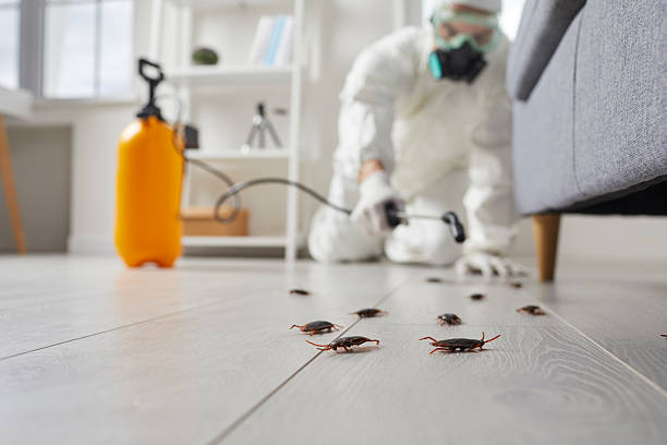 Commercial Rodent Management in Keystone